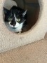 Oskar_Frieda (4)